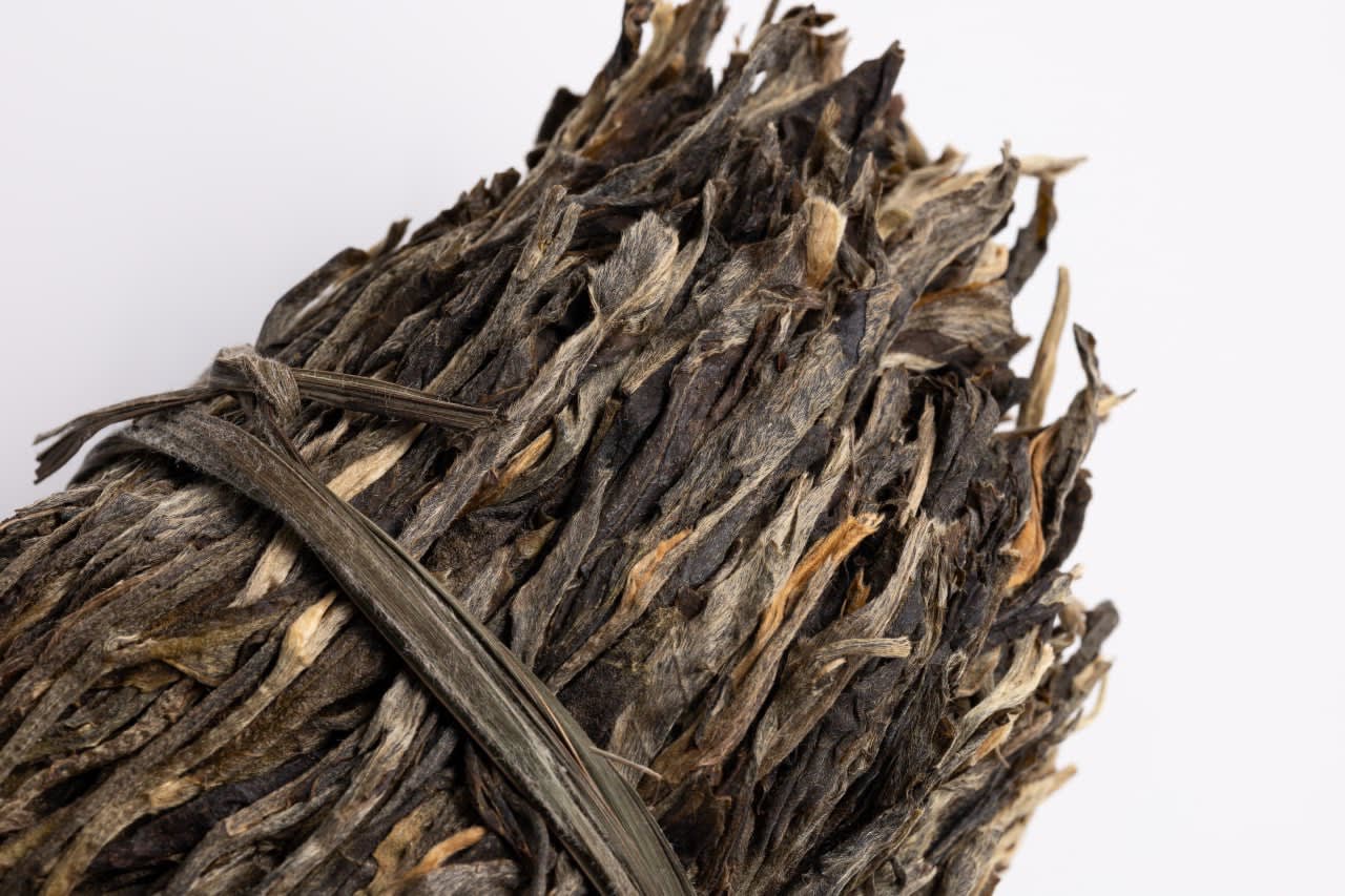 Гушу шен пуэр Дасюэшань (Линьцан, 2019)